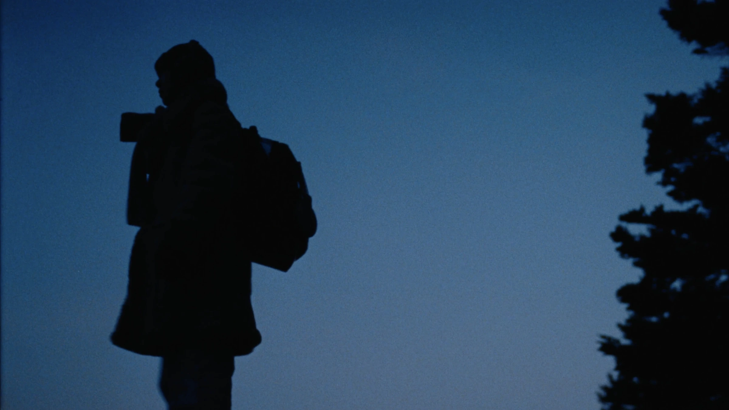 Midnight Sun still 28